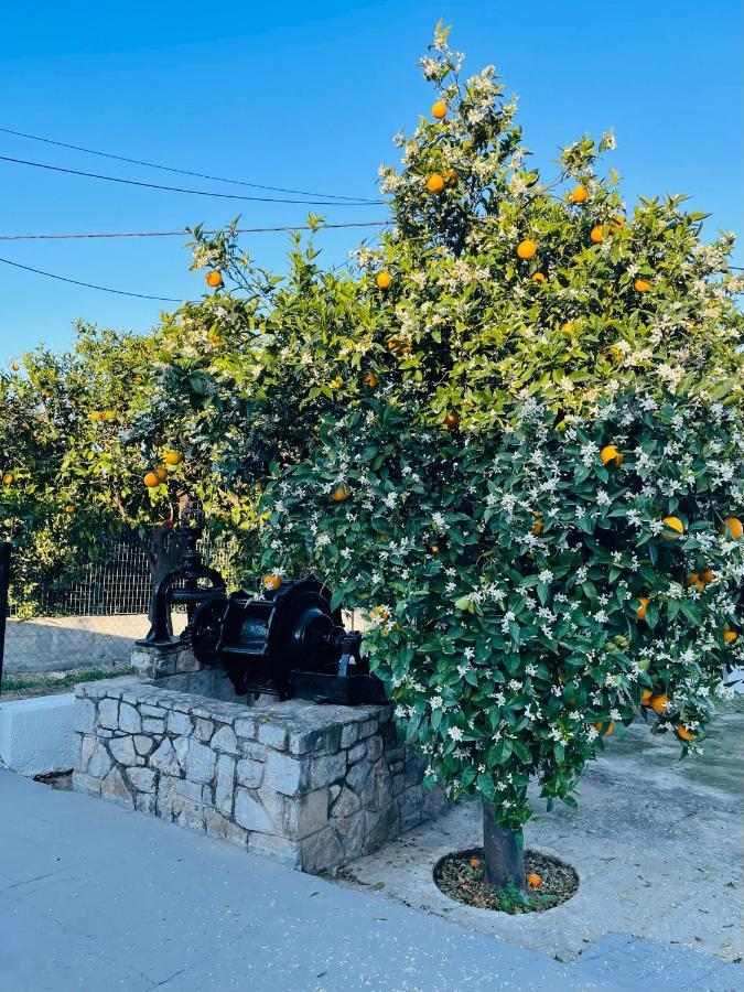 Villa Citrus Garden Epidaurus Esterno foto