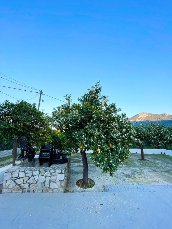 Villa Citrus Garden Epidaurus Esterno foto