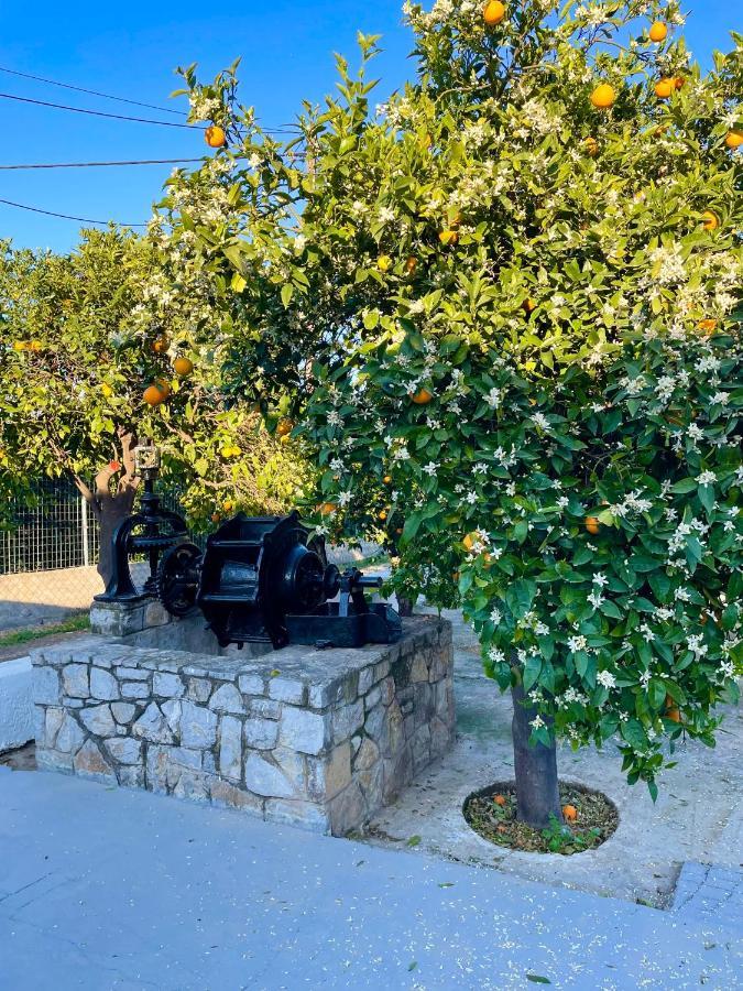 Villa Citrus Garden Epidaurus Esterno foto
