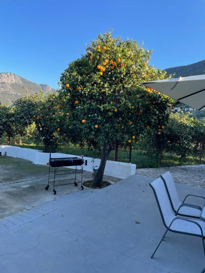 Villa Citrus Garden Epidaurus Esterno foto