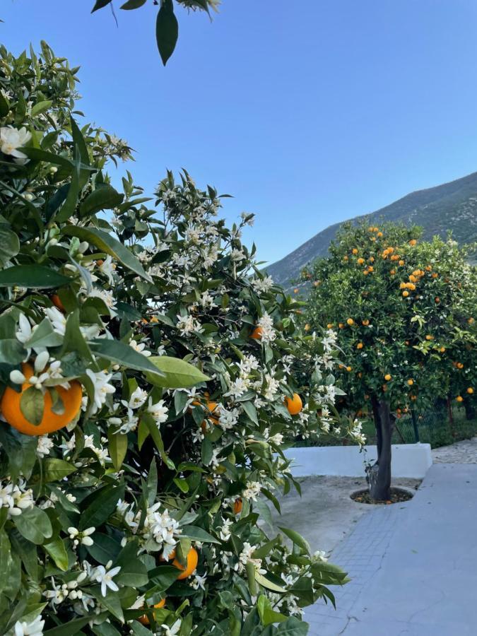 Villa Citrus Garden Epidaurus Esterno foto