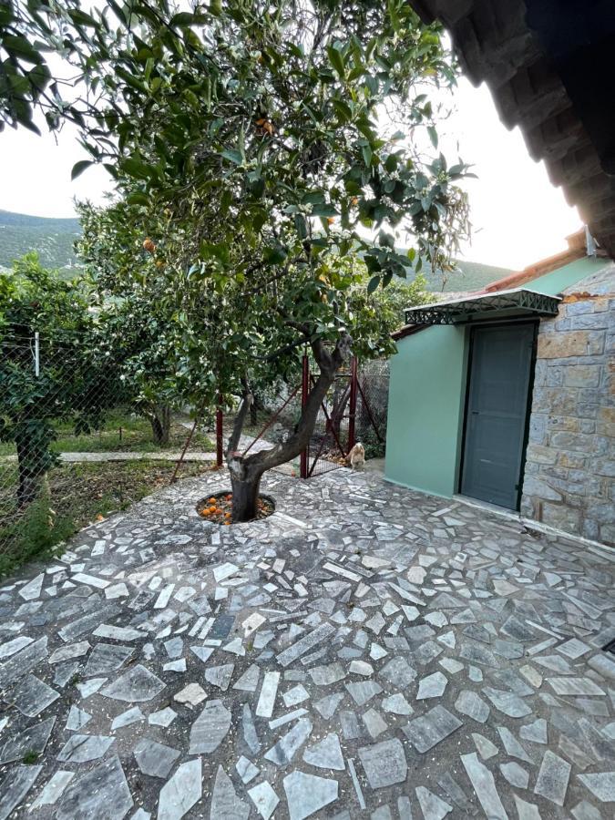 Villa Citrus Garden Epidaurus Esterno foto