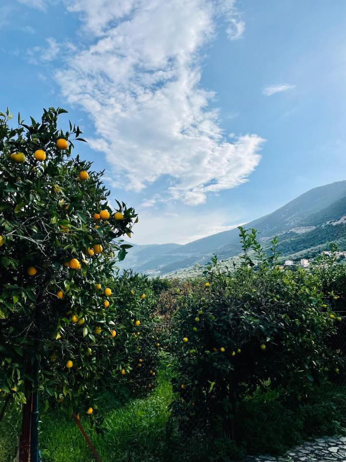 Villa Citrus Garden Epidaurus Esterno foto